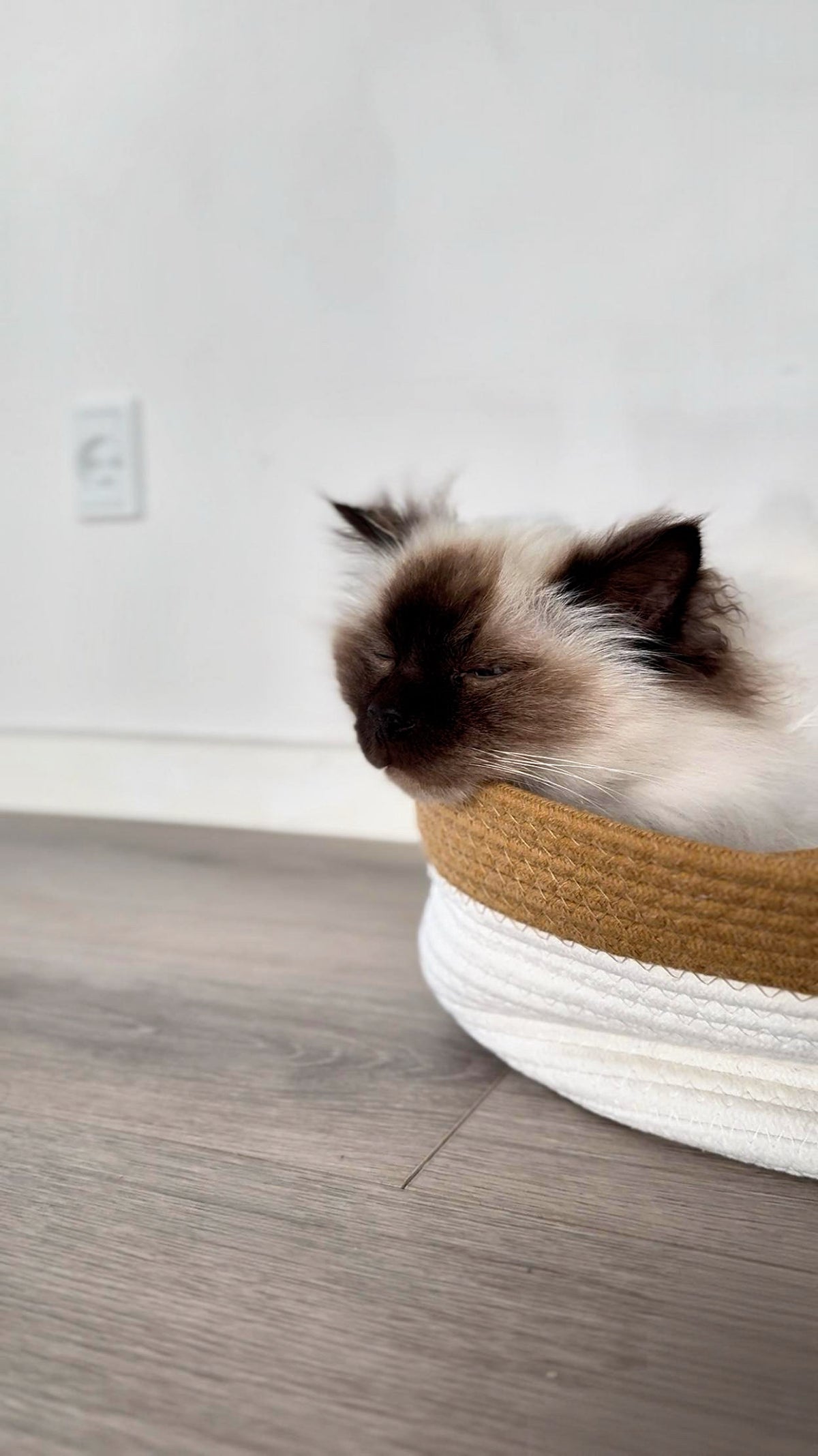 MyPet Nest™